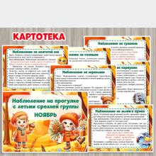 Картотека наблюдений на прогулке в ноябре ()