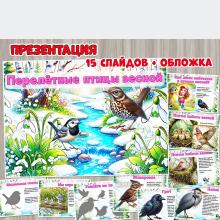 Презентация «Перелетные птицы весной»  ()