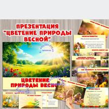 Презентация «Цветение природы весной»  ()