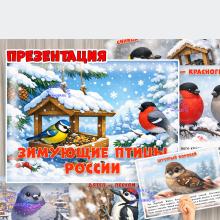 Зимующие птицы России (зимующие птицы, птицы, День России, перелетные птицы, регионы России)