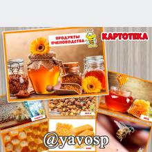 Картотека "Продукты пчеловодства" ()
