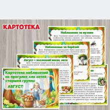 Картотека наблюдений на прогулке в августе, старшая группа, детский сад