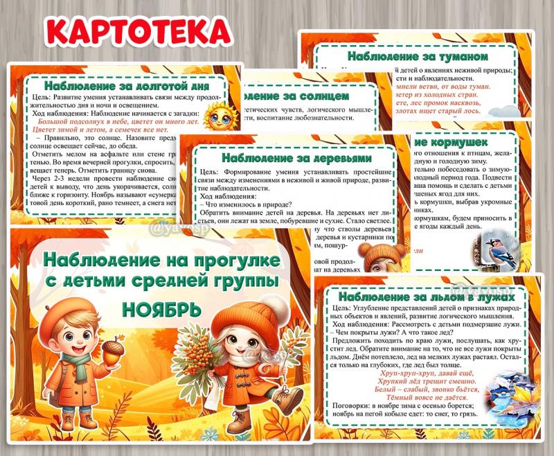 Картотека наблюдений на прогулке в ноябре ()