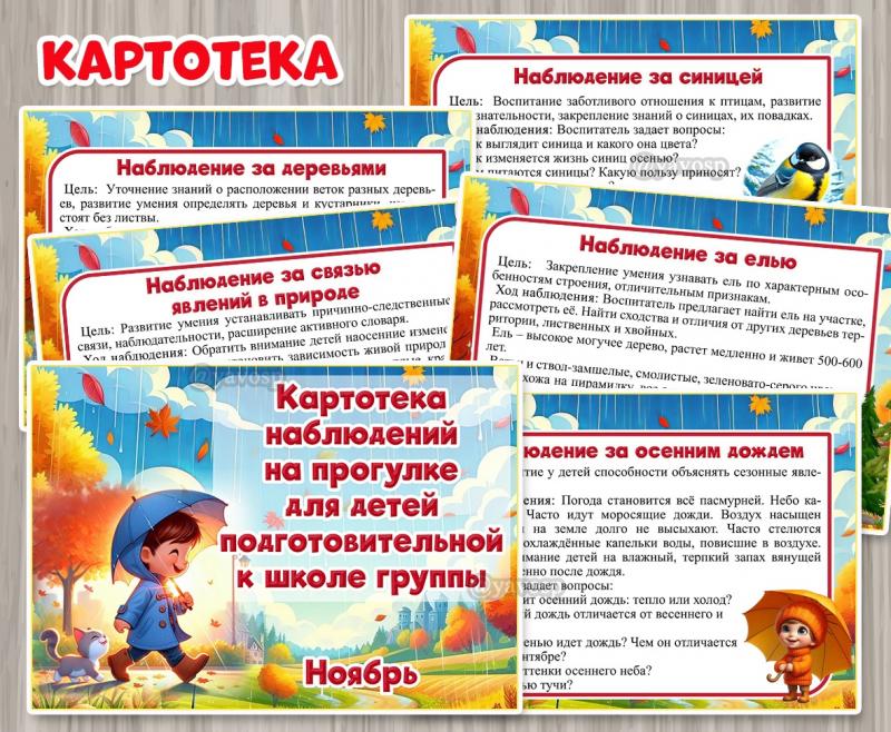 Картотека наблюдений на прогулке в ноябре  Подготовительная группа