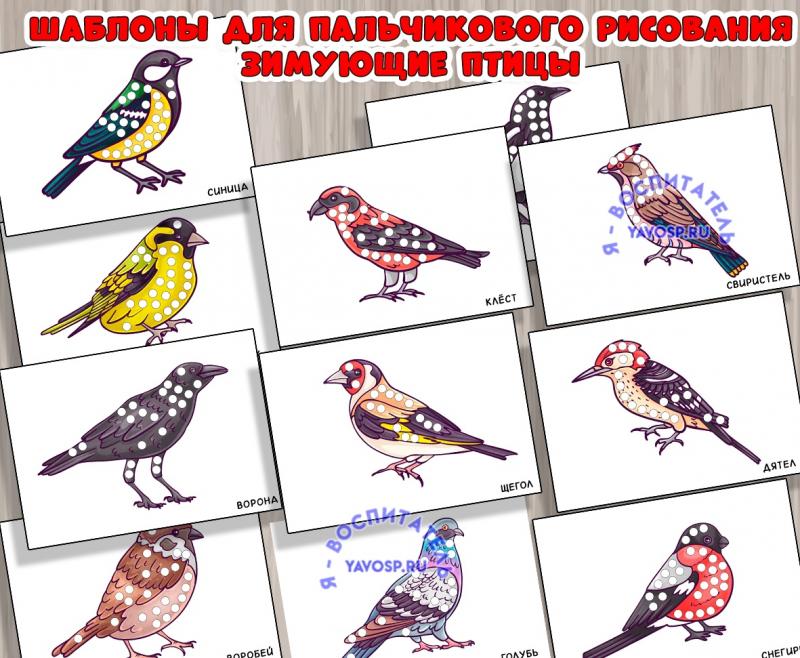 Шаблоны "Зимующие птицы"  ()