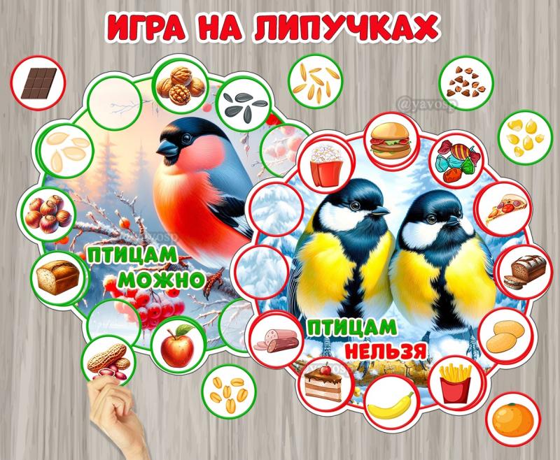 Дидактическая игра на липучках «Чем можно и нельзя кормить птиц?» ()