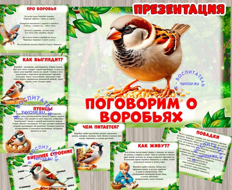 Презентация «Поговорим о воробьях» ()