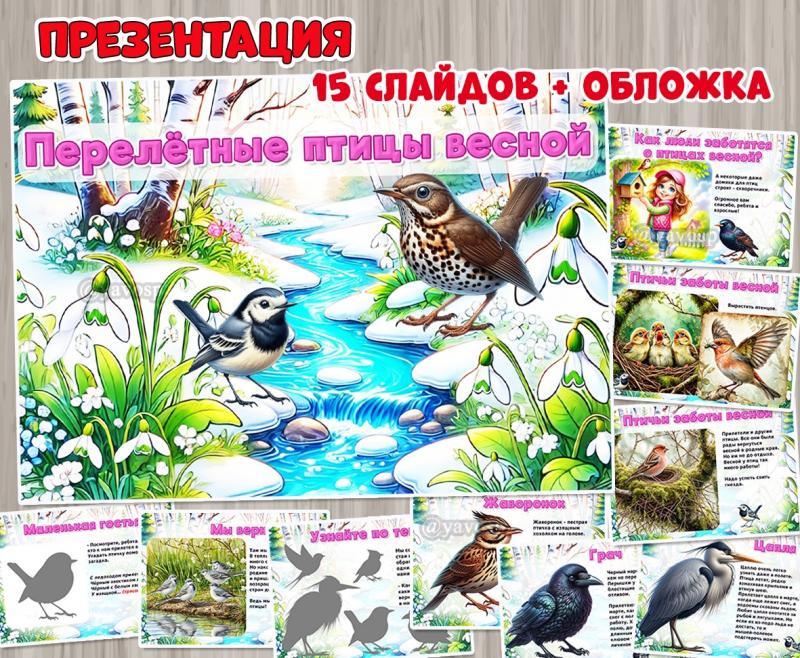 Презентация «Перелетные птицы весной»  ()