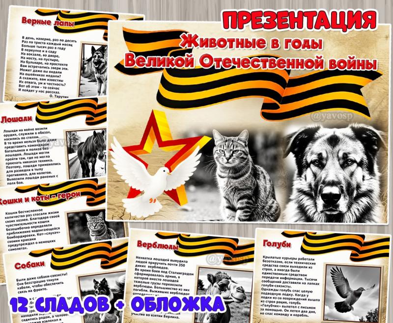 Презентация «Животные в годы Великой Отечественной войны»  ()