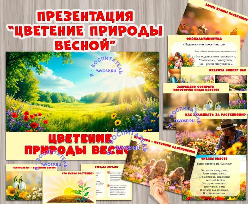 Презентация «Цветение природы весной»  ()