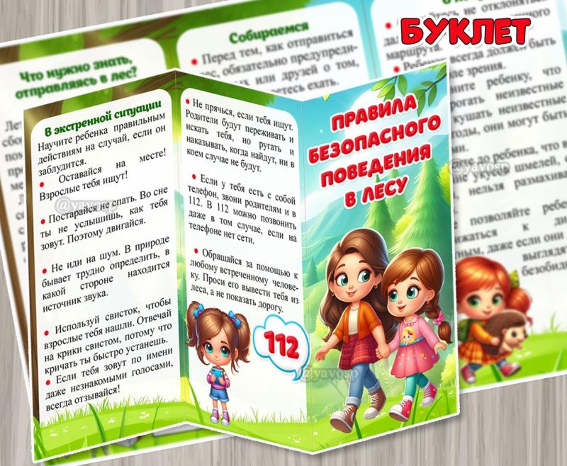 Буклет для родителей «Правила безопасного поведения в лесу» ()