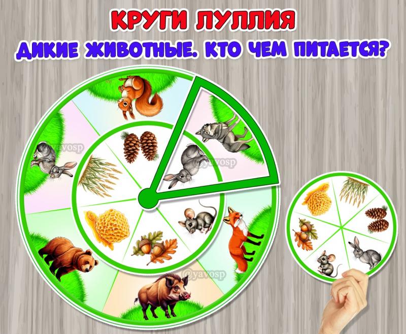 Дидактическое пособие - Круги Луллия «Дикие животные. Кто чем питается?»  ()