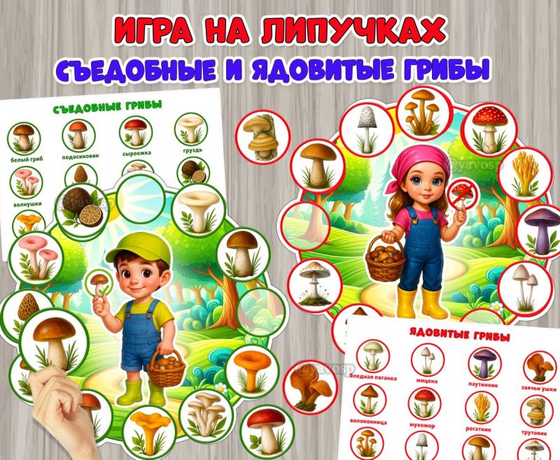 Дидактическая игра на липучках «Съедобные и ядовитые грибы» ()