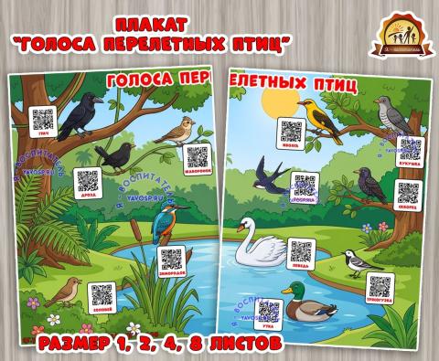 Плакат "Голоса перелетных птиц" с QR-кодами (день птиц, плакат, Мотивационный плакат)