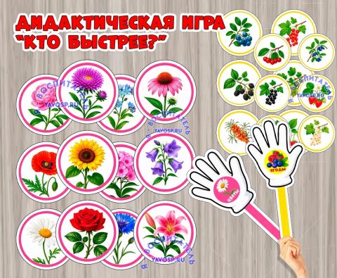 Дидактическая игра «Кто быстрее?» (цветы и ягоды)  (Дидактическая игра, игра, цветы, ягоды, игра на прищепках)