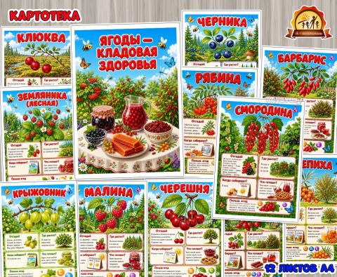 Ягоды – кладовая здоровья (День здоровья, ягоды)