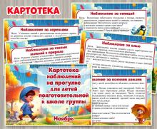 Картотека наблюдений на прогулке в ноябре  Подготовительная группа