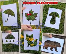 Поделка "Осенние развлечения".  ()