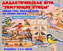 Плакат и игра "Зимующие птицы России" (зимующие птицы, игра, плакат, птицы, День России)