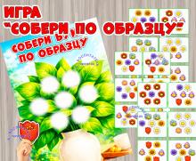 Игра "Собери букет по образцу" (игра, по образцу, Дидактическая игра, игра на прищепках, игра с фонариком)