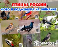 Тематические комплекты