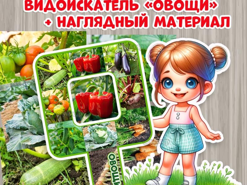 Видоискатель «Овощи» + наглядный материал к нему, осень, урожай, лето