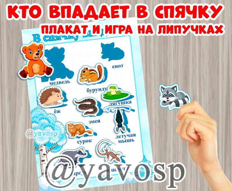 Кто зимой впадает в спячку? Кто зимой впадает в спячку?