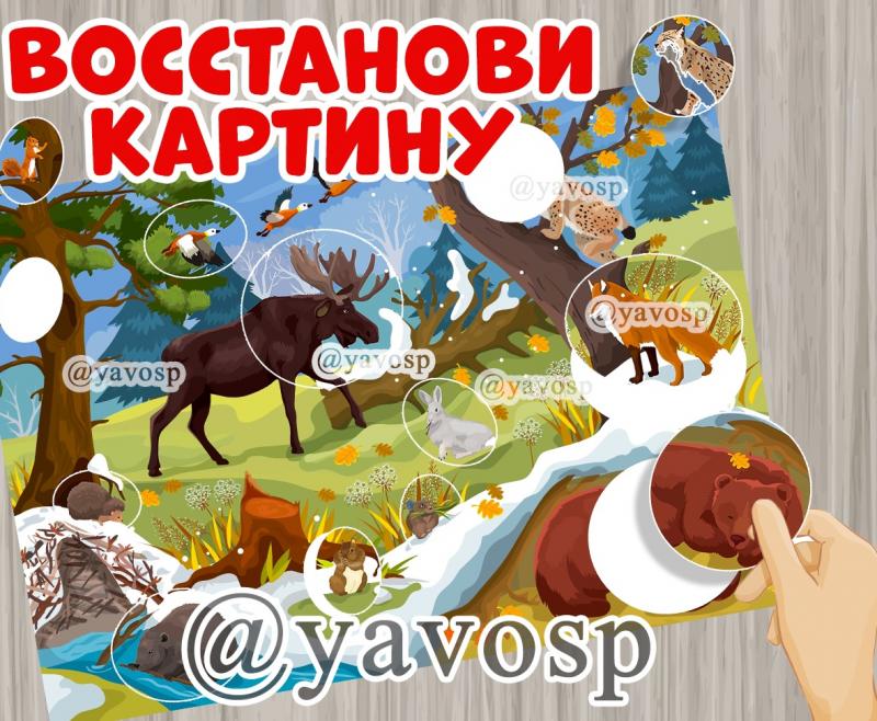 Звери в лесу. Поздняя осень.