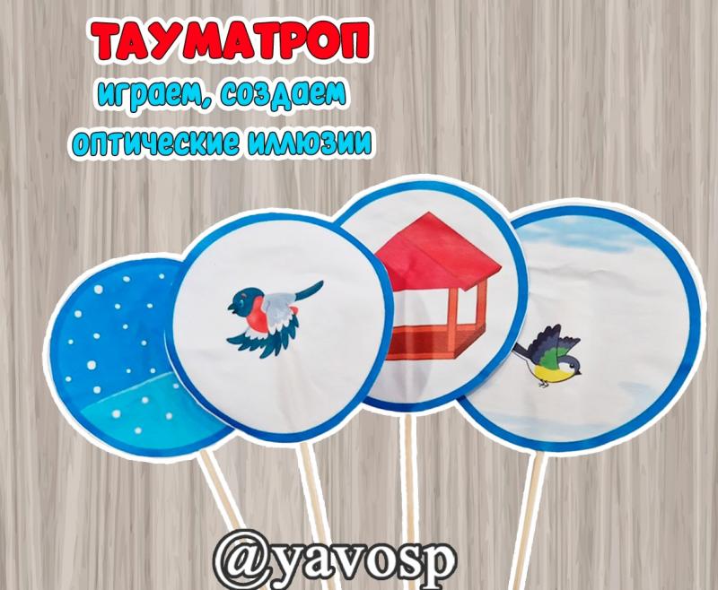 Тауматроп, игра, оптическая иллюзия, детский сад, школа, старшая, подготовительная группа