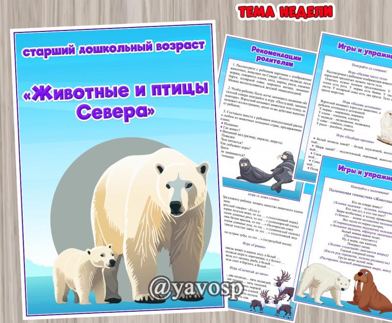 Животные и птицы Севера 