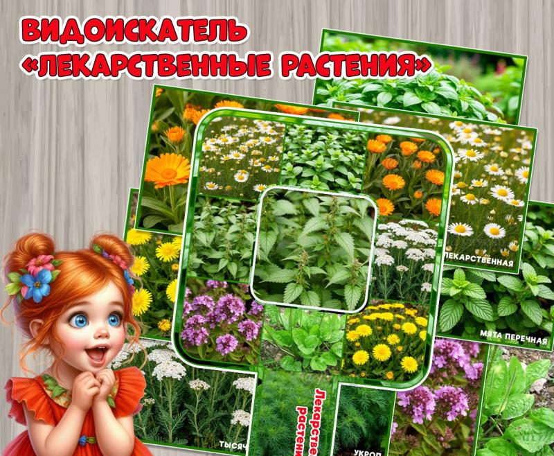 Видоискатель с ручкой и иллюстративный материал «Лекарственные растения»  Видоискатель с ручкой и иллюстративный материал «Лекарственные растения»  ()