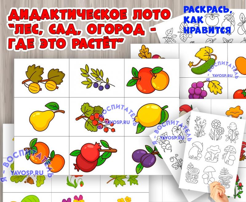 Игра «Леса, сад, огород — где это растёт?»  Игра «Леса, сад, огород — где это растёт?»  ()