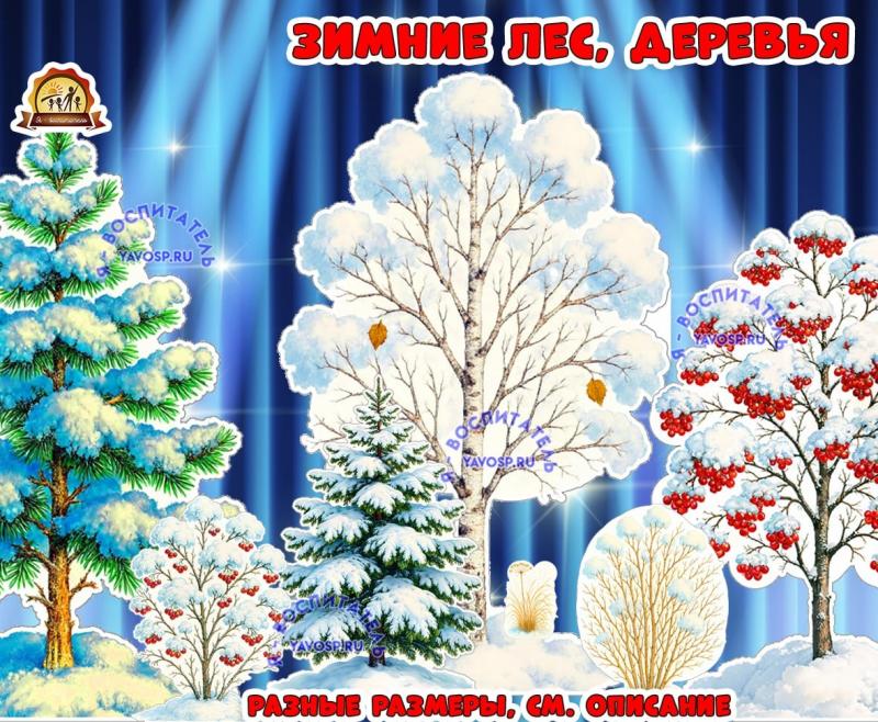 Оформление "Зимний лес, деревья" (лес, оформление, оформление группы, оформление окна)