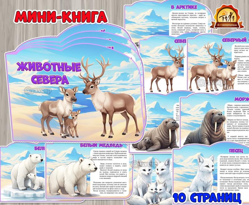 Мини-книга «Животные Севера» (мини-книга, животные севера, животные, книга, домашние животные)