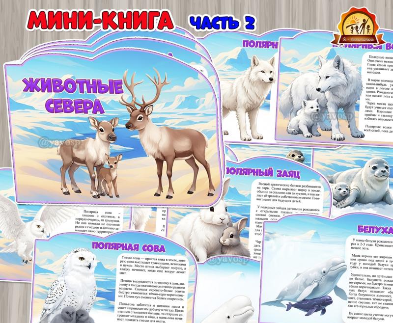 Мини-книга «Животные Севера». Часть 2  (мини-книга, животные севера, животные, книга, домашние животные)