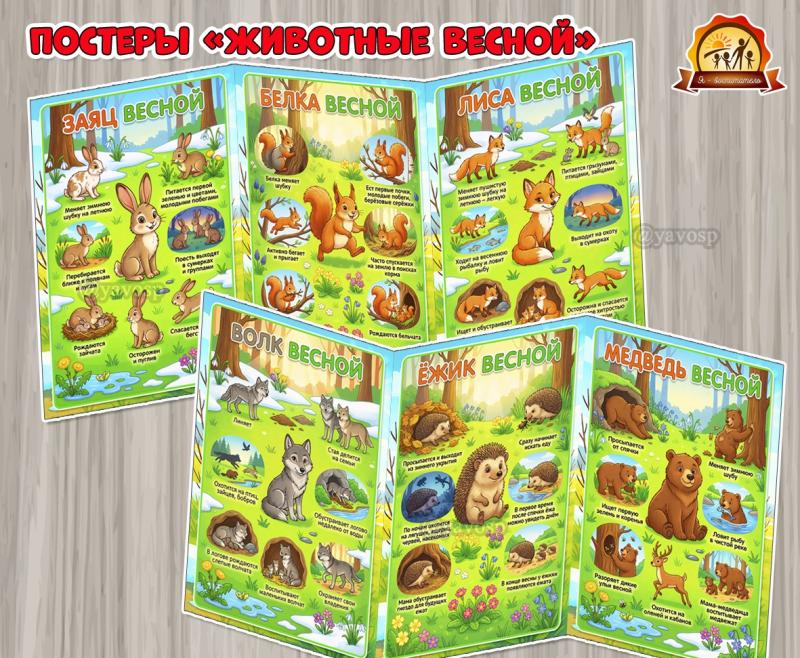 Постеры - плакаты «Животные весной»  (животные, плакаты, домашние животные, животные севера)