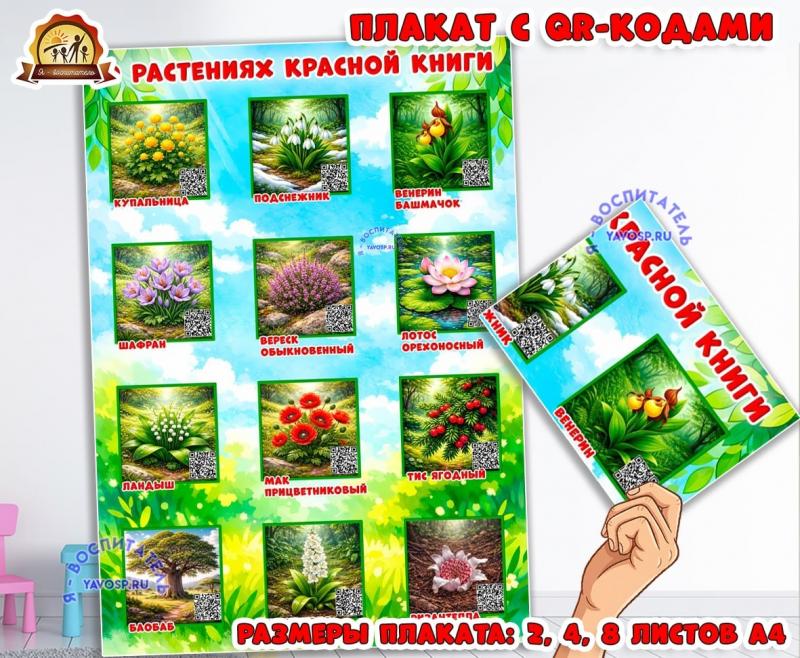 Плакат с QR-кодами "Растения красной книги" (День книги, книги, плакат, растения, комнатные растения)