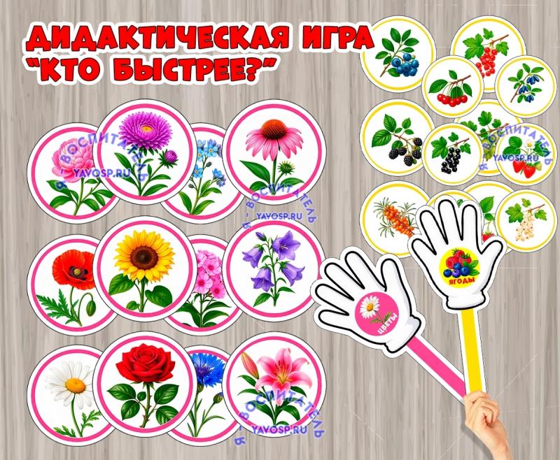 Дидактическая игра «Кто быстрее?» (цветы и ягоды)  (Дидактическая игра, игра, цветы, ягоды, игра на прищепках)