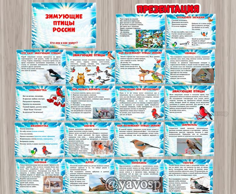 Презентация "Зимующие птицы" ()