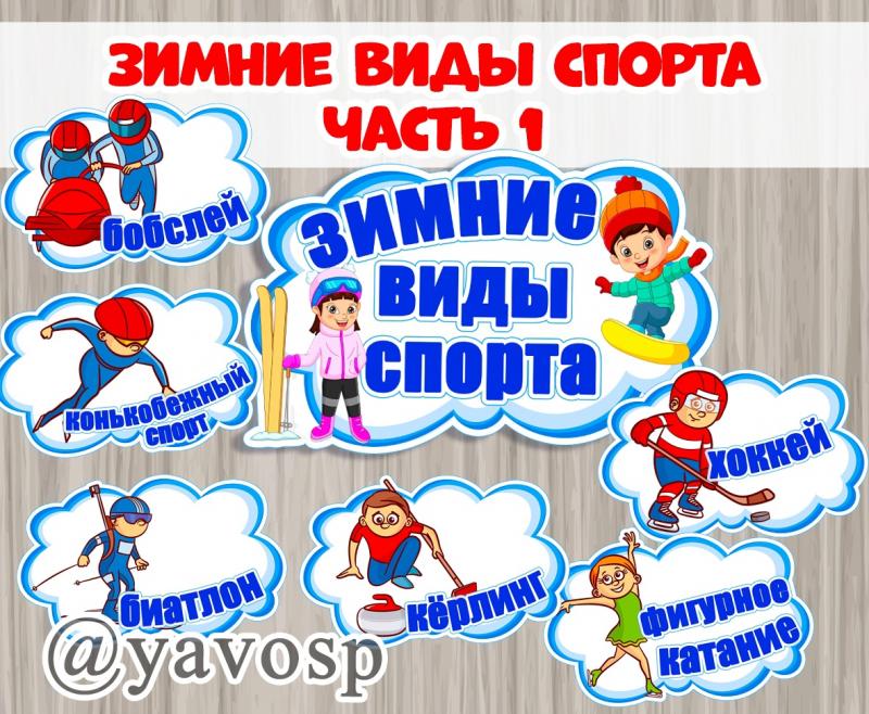 Зимние виды спорта 