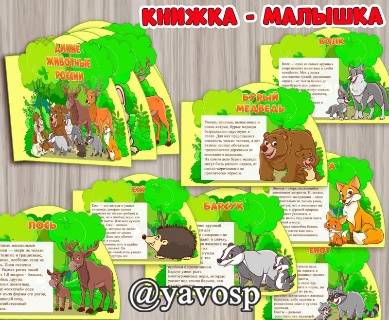 "Дикие животные России" ()