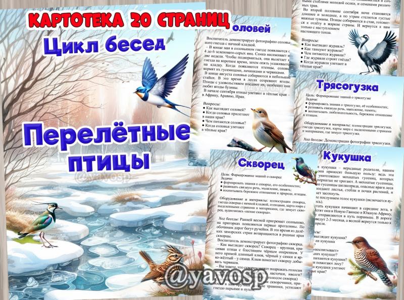Цикл бесед о перелетных птицах, детский сад, подготовительная, старшая, средняя группа. весна