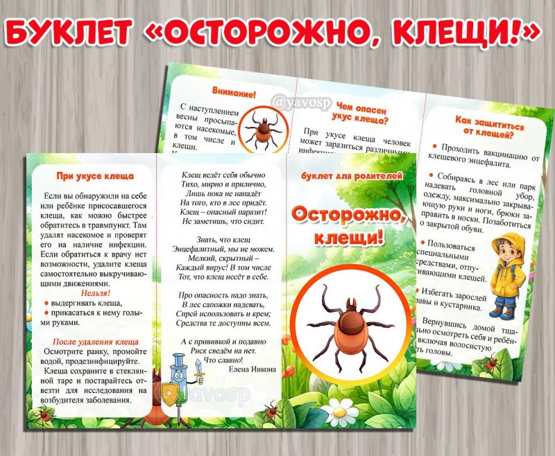 Буклет "Осторожно, клещи" Эннцефалит