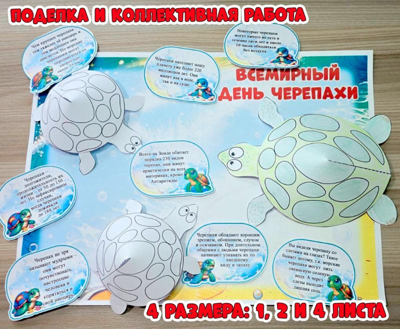 Поделка "Черепаха" и вариант коллективной работы ()