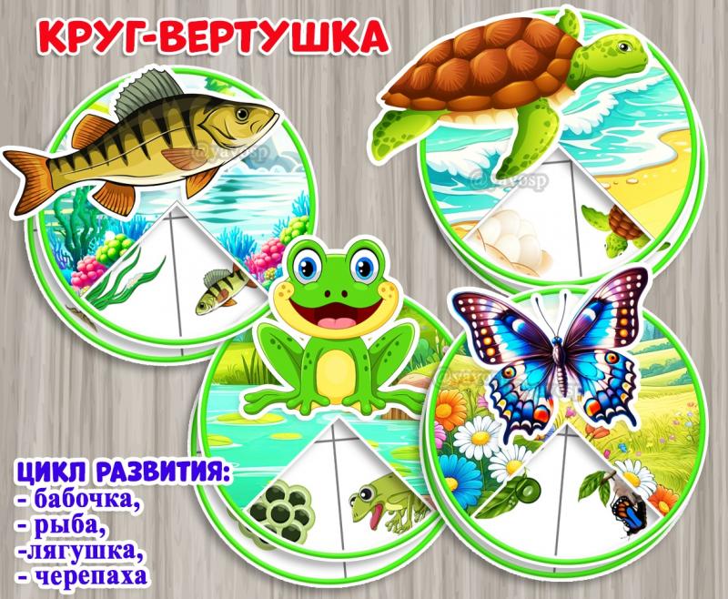 Круги-вертушки "Цикл развития живых организмов" Круги-вертушки "Цикл развития живых организмов"