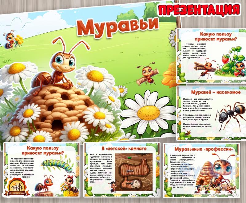 Презентация "Муравьи" 