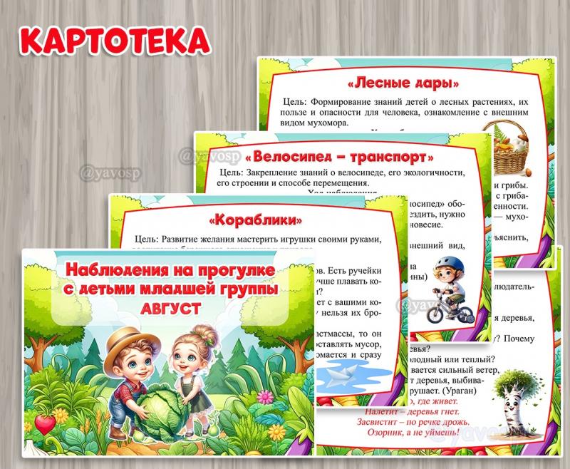 Картотека наблюдений в августе. Младшая группа. ()