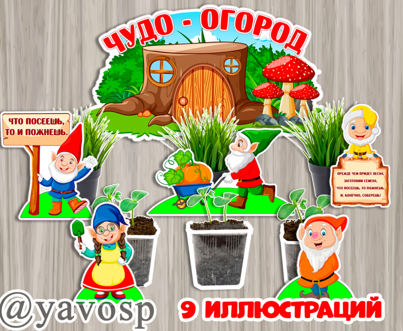 огород на подоконнике