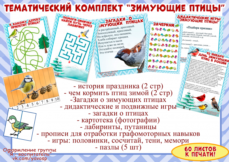 Тематический комплект Зимующие птицы