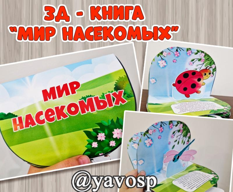3D - книга "Мир насекомых"